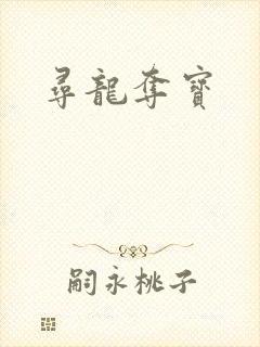 寻龙夺宝