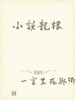小说龙根