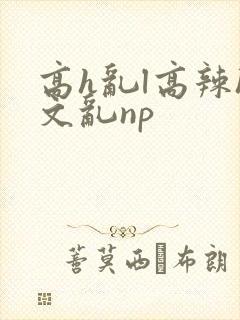 高h乱l高辣h文乱np
