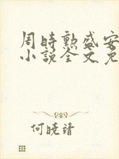 周时勋盛安宁的小说全文免费封面