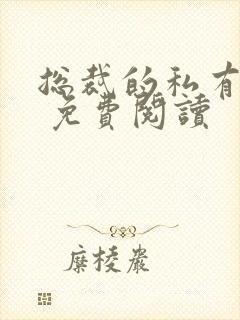 总裁的私有宝贝 免费阅读