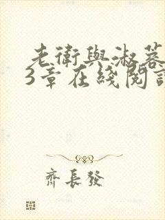 老卫与淑蓉第13章在线阅读