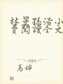 林曼孙浩小说免费阅读全文最新章节