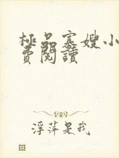 极品寡嫂小说免费阅读