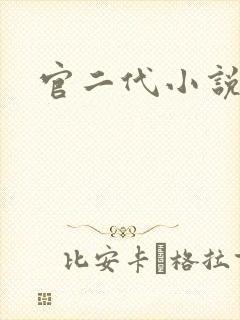 官二代小说封面