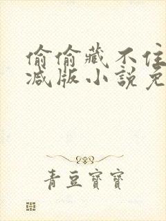 偷偷藏不住无删减版小说免费