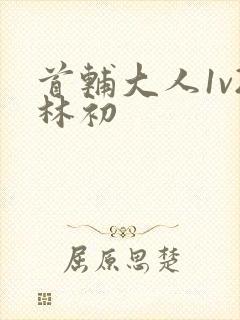 首辅大人1v2林初