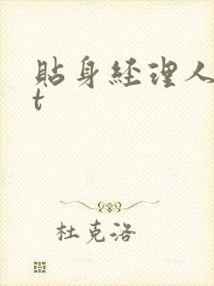 贴身经理人txt
