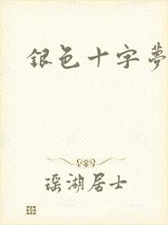 银色十字梦封面