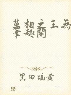 万相之王无弹窗笔趣阁封面