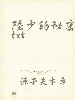 陆少的秘密恋人txt