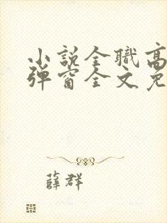 小说全职高手无弹窗全文免费阅读