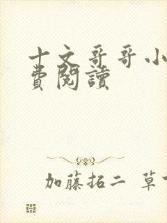 十文哥哥小说免费阅读