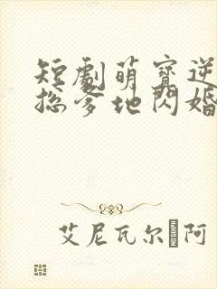 短剧萌宝逆袭霸总爹地闪婚超能妈咪
