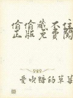 偷偷藏不住小说正版免费阅读全文封面