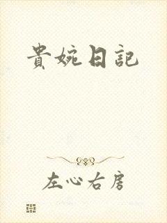 贵婉日记