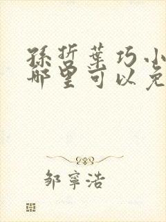 孙哲叶巧小说在哪里可以免费阅读