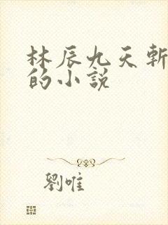 林辰九天斩神诀的小说