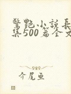 惊艳小说长篇合集500篇全文免费阅读
