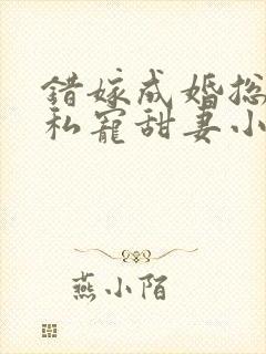 错嫁成婚总裁的私宠甜妻小说