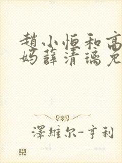 赵小恒和高官妈妈薛清璃免费阅读封面