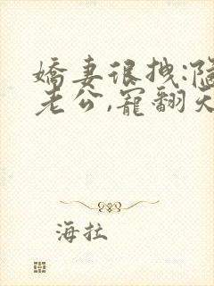 娇妻很拽:隐婚老公,宠翻天