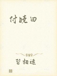 付晓田