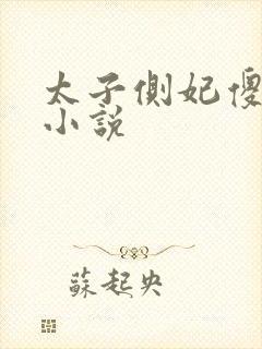 太子侧妃傻乎乎小说
