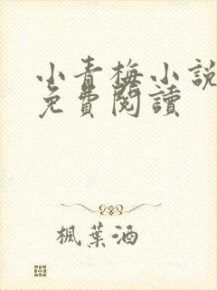 小青梅小说全文免费阅读