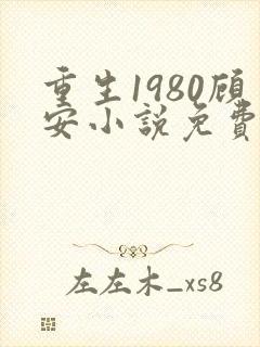 重生1980顾安小说免费阅读最新章节