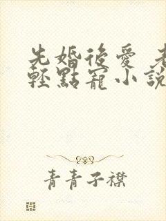 先婚后爱 老公轻点宠小说