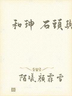 和珅 石头与水