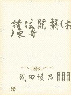 错位关系(校园)东哥封面