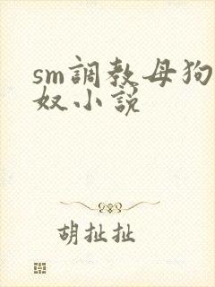 sm调教母狗女奴小说