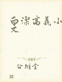 白洁高义小说全文