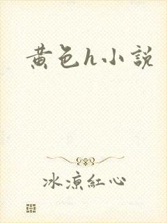 黄色h小说封面