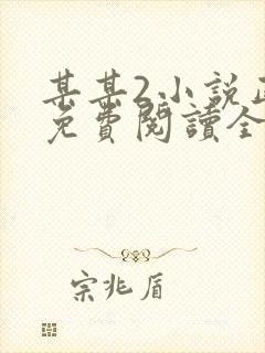 某某2小说正版免费阅读全文无弹窗