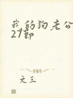 我的狗老公小说27节