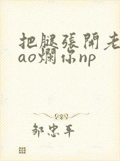 把腿张开老子cao烂你np封面