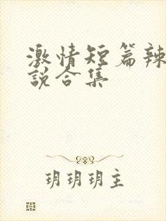 激情短篇辣文小说合集封面