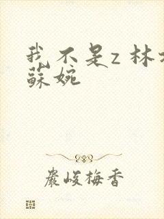 我不是z 林北苏婉