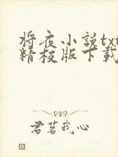 将夜小说txt精校版下载