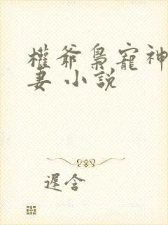 权爷枭宠神秘娇妻 小说