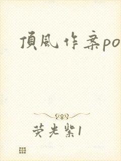 顶风作案po封面