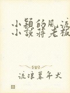 小颖的风流人生小说蒋老板在线阅读免费
