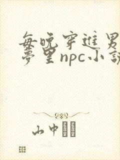 每晚穿进男神的梦里npc小说