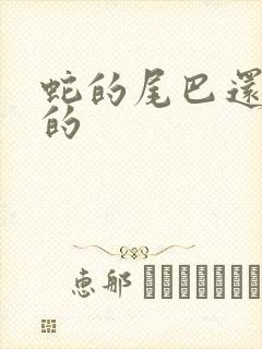 蛇的尾巴还在我的
