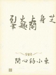 引火上身芝麻糖笔趣阁