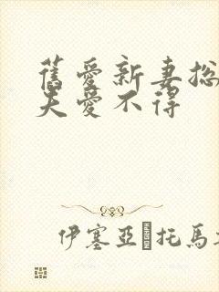 旧爱新妻总裁前夫爱不得封面