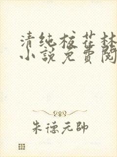 清纯校花林梦颖小说免费阅读最新章